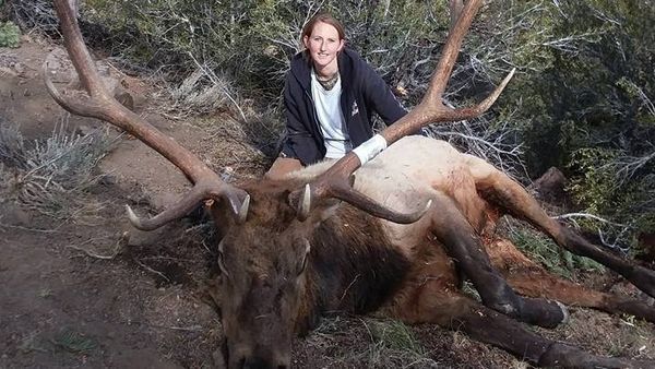  Elk Hunting in Nevada | 4 Hours 